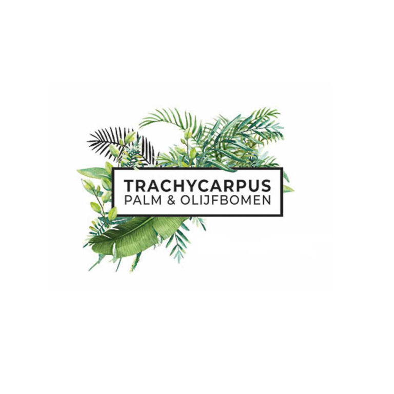 Portfolio_TASH Gent_BE_Branding Content creation and graphic design (1)