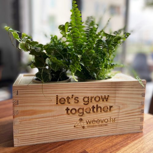 TASH_Portfolio_2_WeevoHR_Van Transitie naar groei (2)